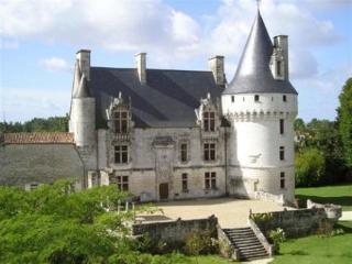Chateau De Crazannes Zewnętrze zdjęcie
