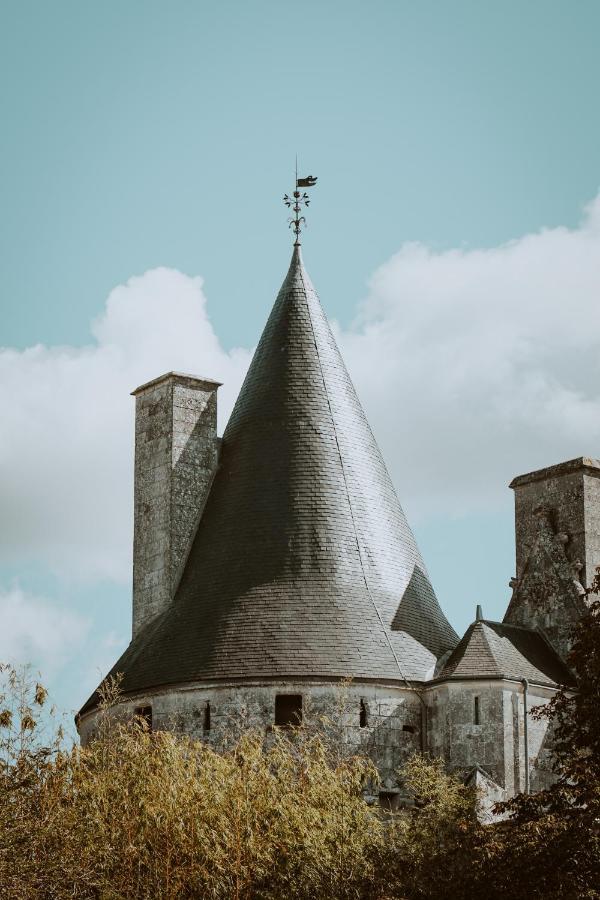 Chateau De Crazannes Zewnętrze zdjęcie